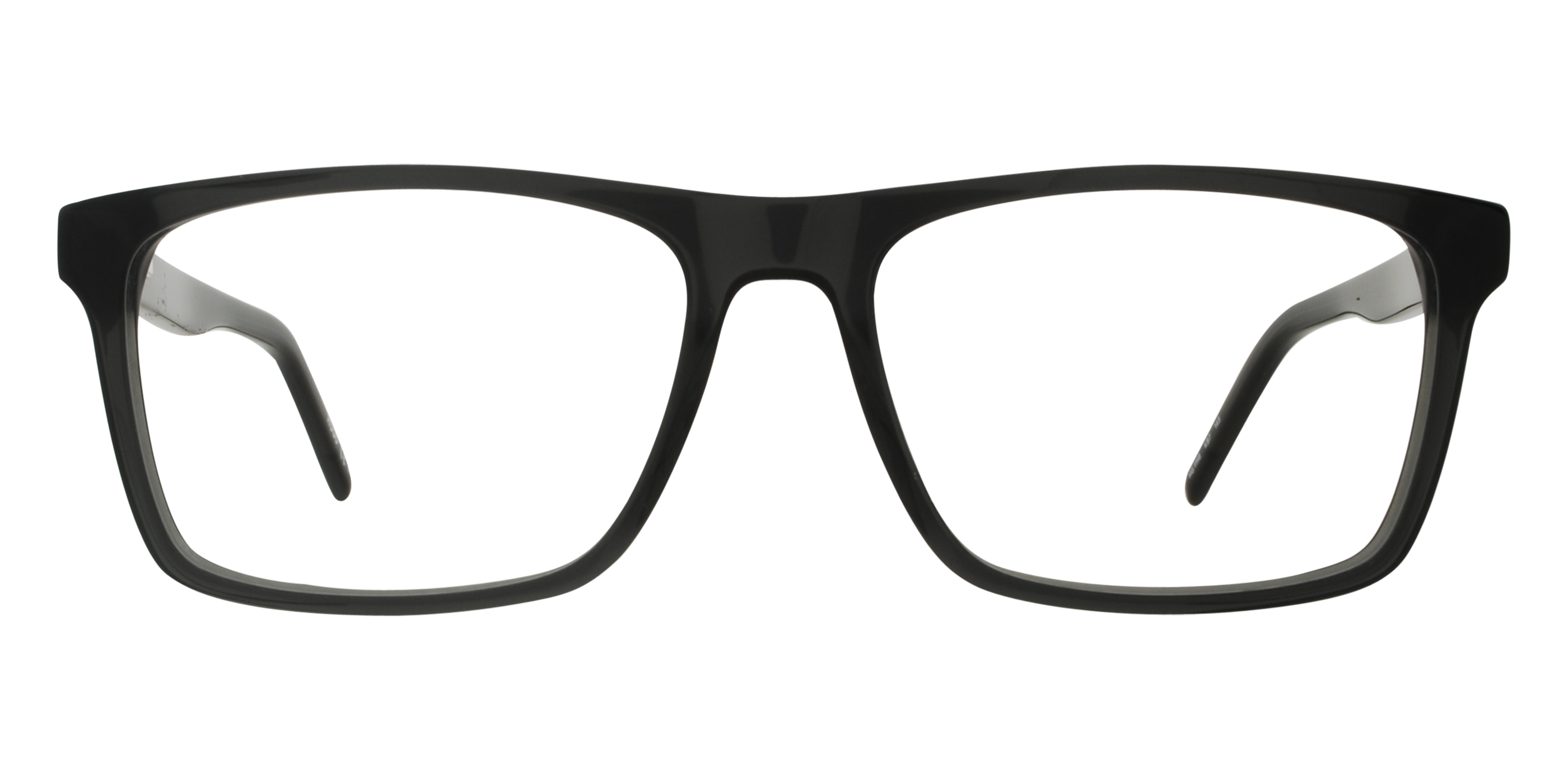 Hugo Boss HG1198